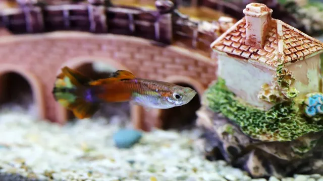 how to make an all in one aquarium