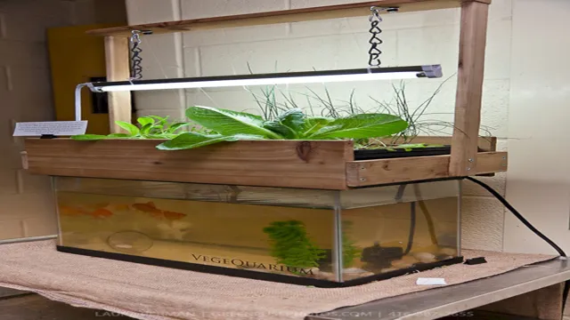 how to make an aquaponics aquarium