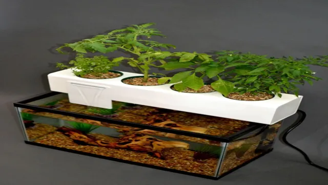 How to Make an Aquaponics Aquarium: A Step-by-Step Guide for Beginners