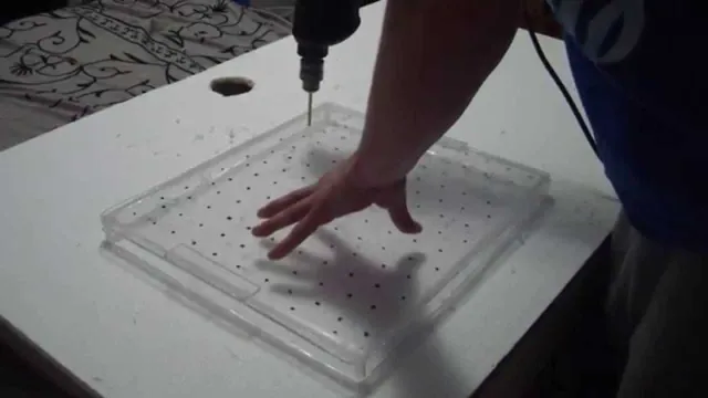 How to Make an Aquarium Drip Plate: A Step-by-Step Guide for Crystal Clear Water