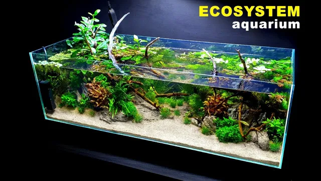 how to make an aquarium ecosystem
