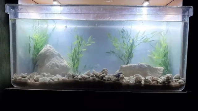 how to make an aquarium for a tarrapin