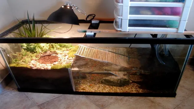 how to make an aquarium for a turtle
