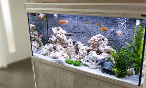 How to Make an Aquarium: In-Depth Guide for&hellip;