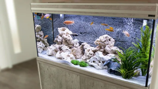 How to Make an Aquarium: In-Depth Guide for Beginners to Build Your Own