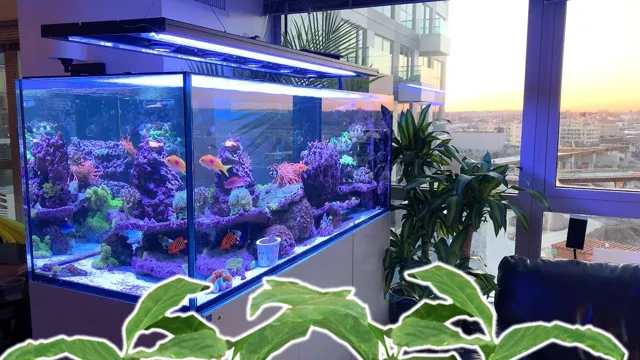 how to make an aquarium look new again hazd