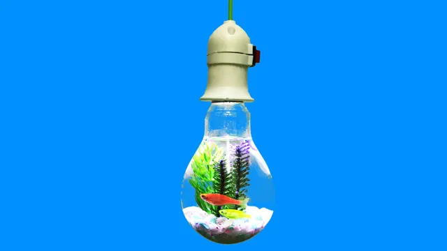 how to make an aquarium out of a light bulb