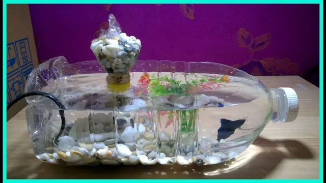 how to make an aquarium out of a plastic bottle