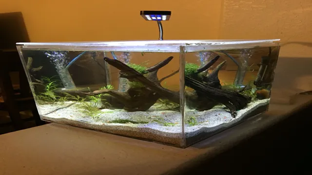 how to make an aquarium out of acrylic