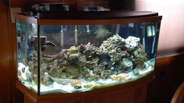 How to Make an Aquarium Saltwater: A Step-by-Step Guide for Beginners