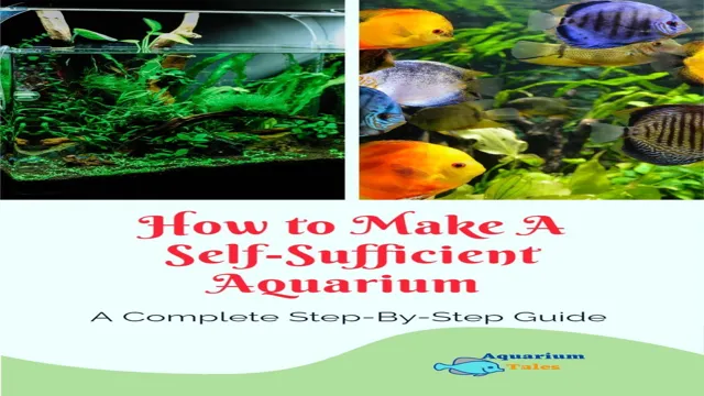 how to make an aquarium self sustaining