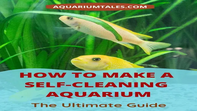 How to Make an Aquarium Self Sustaining: A Step-by-Step Guide to Long-Term Success