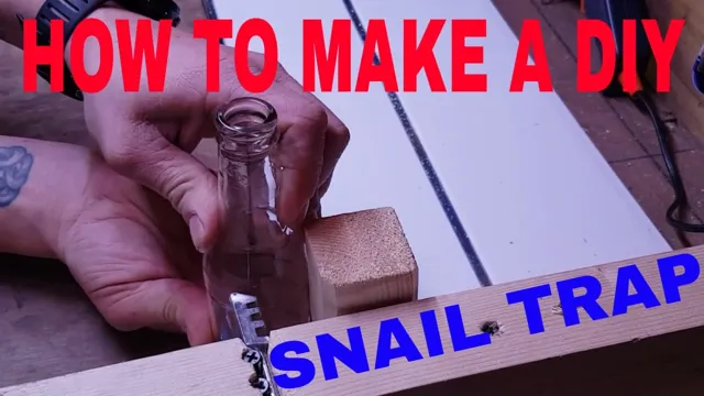 how to make an aquarium snail trap