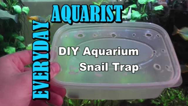 How to Make an Aquarium Snail Trap: A Step-by-Step Guide to…