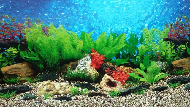 how to make an easy aquarium background