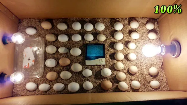 how to make an incubator for chicken eggs aquarium