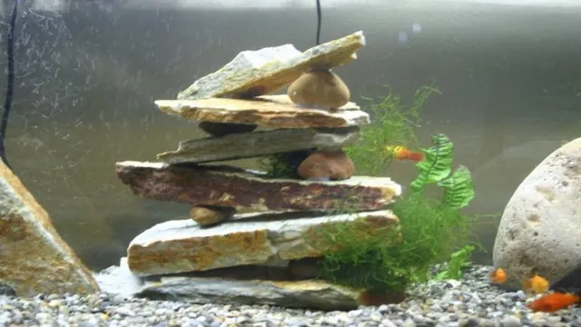 How to Make and Waterproof an Aquarium Using Liquid Rubber – A Complete Guide