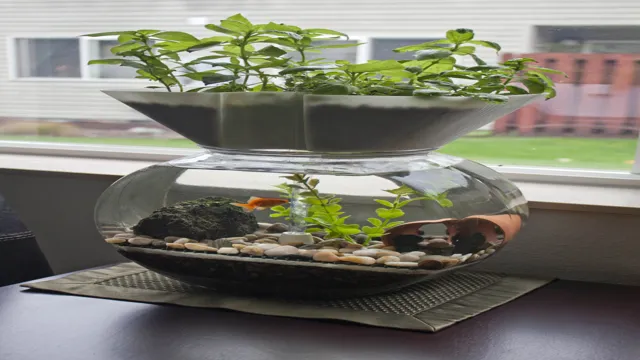 How to Make an Aquaponic Aquarium: A Step-by-Step Guide for Beginners