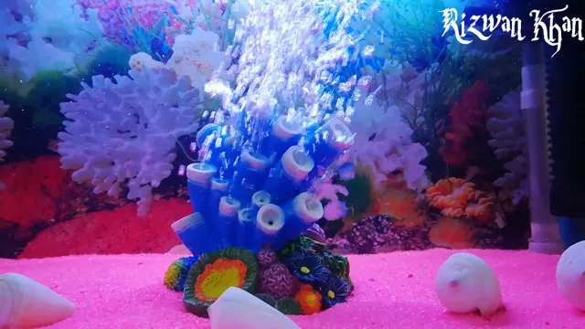 How to Make Aquarium Air Bubble Dance: Tips and Tricks for Stunning Results