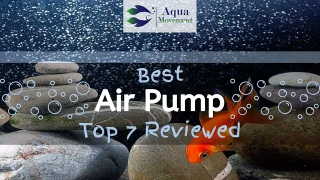 how to make aquarium air pump quiet