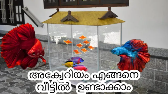 how to make aquarium at home in malayalam