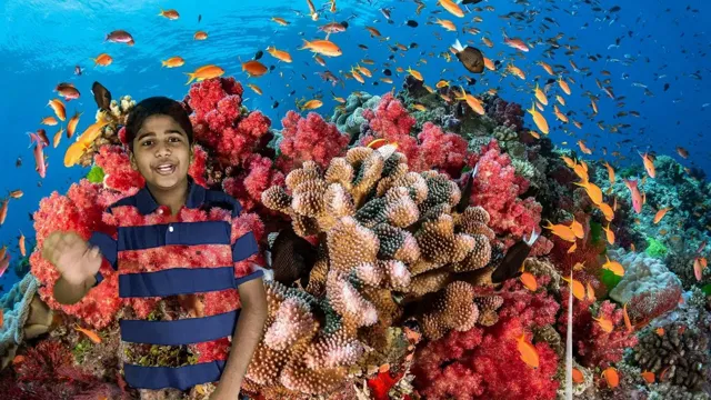 How to Make Aquarium at Home in Malayalam: A Step-by-Step Guide for Beginners