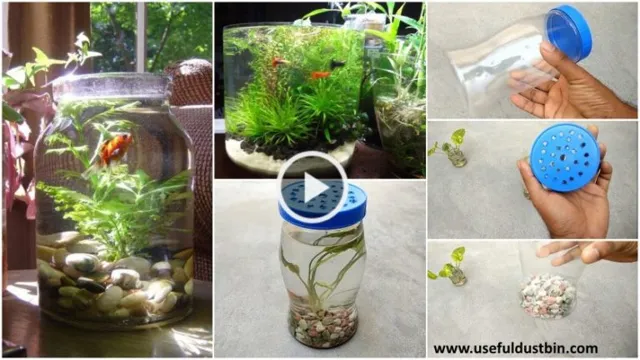 how to make aquarium at home with bottle