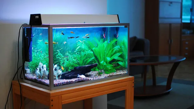 how to make aquarium at home