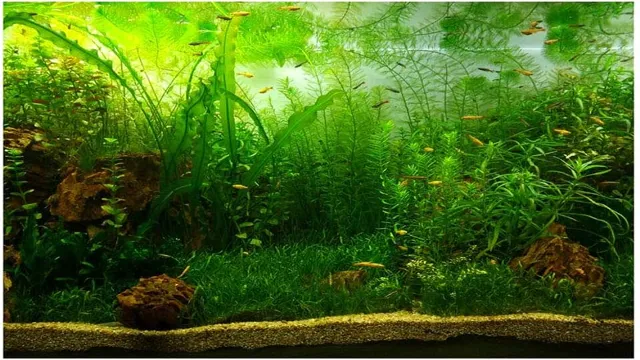 how to make aquarium background poster