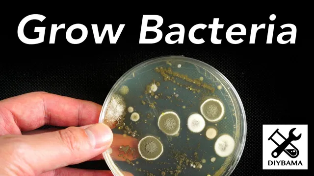 How to Make Aquarium Bacteria Grow Quicker: Top Tips and Strategies