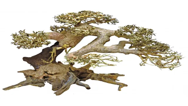 how to make aquarium bonsai driftwood