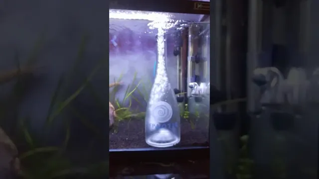 how to make aquarium bubbler big bubbles