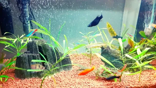 how to make aquarium bubbler big bubbles