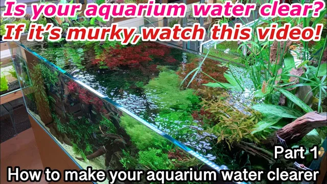 how to make aquarium clearer
