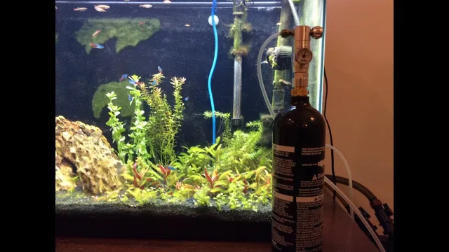 how to make aquarium co2 with paintball tank