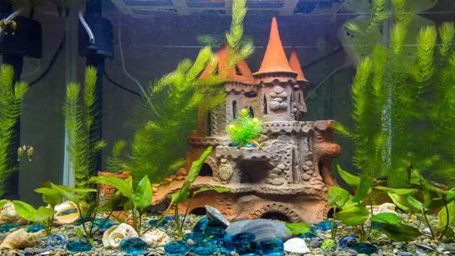 How to Make Aquarium Decorations Safe: Tips for Ensuring Your Fish Stay Healthy