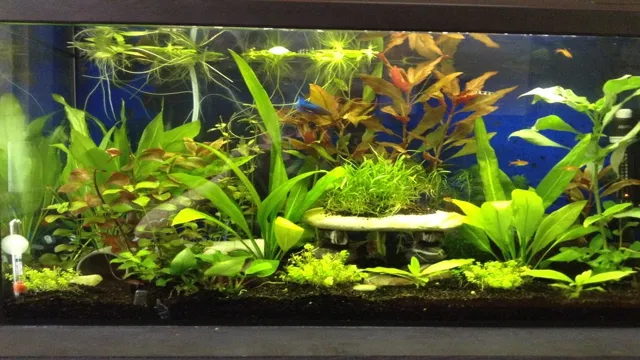 how to make aquarium decorations sink in water