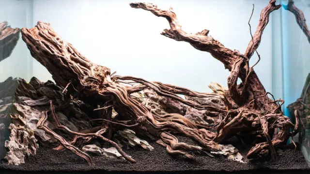 How to Make Aquarium Driftwood Sink: The Ultimate Guide for Successful Aquascaping