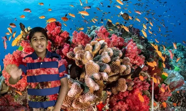 How to Make Aquarium Filter at Home in&hellip;
