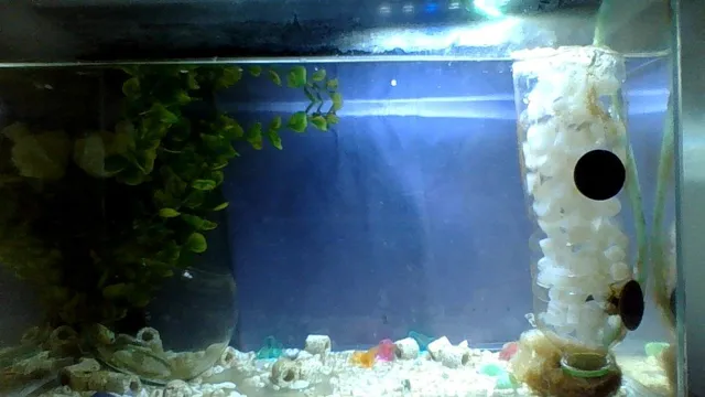 how to make aquarium filter less strong