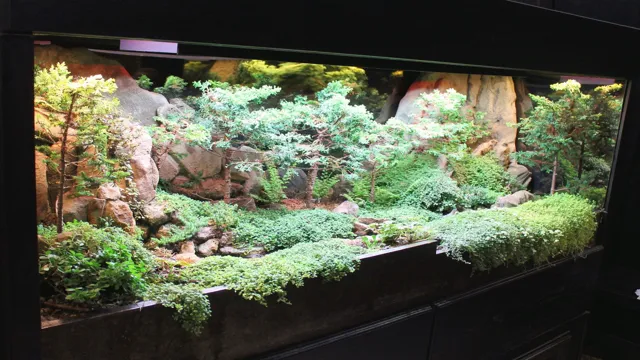 How to Make an Aquarium Garden: The Ultimate Guide for Aquascaping Beginner