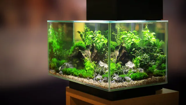 how to make aquarium heavily planted for fish