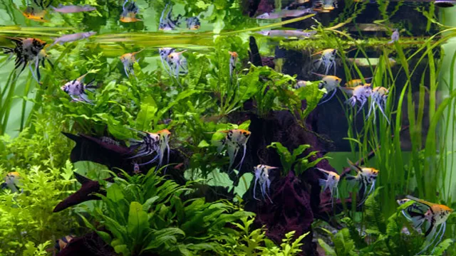 How to Make Aquarium Heavily Planted for Fish: A Step-by-Step Guide