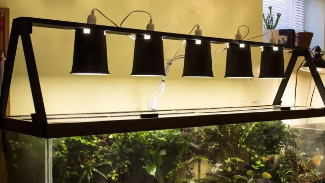 How to Make Aquarium Light Fixture: A Complete Guide