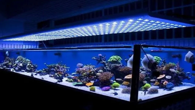 how to make aquarium light less bright