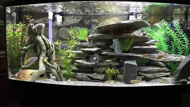 How to Make Aquarium Look Beautiful: 7 Simple Tips and Tricks