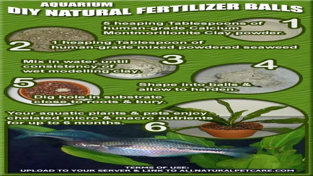 how to make aquarium plant fertilizer at home