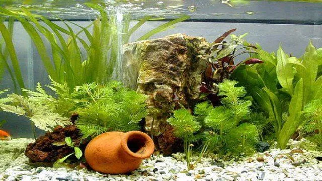 how to make aquarium plants