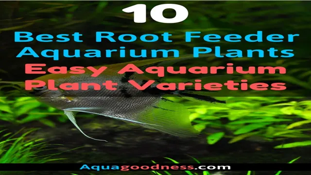 how to make aquarium plants root
