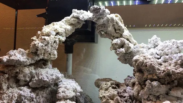 How to Make Aquarium Rocks: A Step-by-Step Guide for a Stunning Underwater World